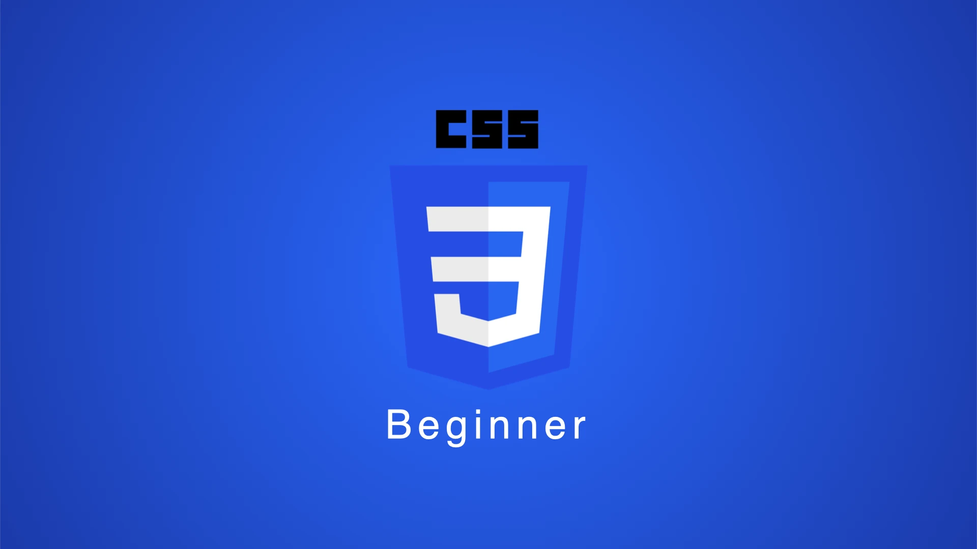 CSS 입문